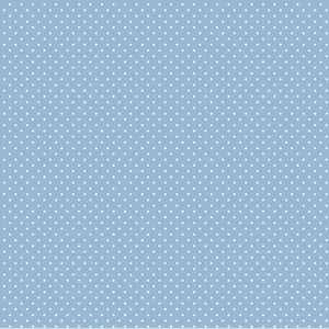 Celestial Swiss Dot Cotton Fabric: Riley Blake Quilting Apparel