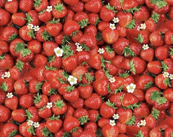 Packed Sweet Strawberries – Cotton Quilting Fabric
