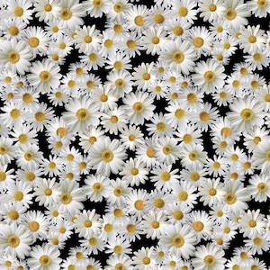 Blooming Packed Daisies  - 100% Quilting COTTON Fabric - Quilting and Apparel Fabric - Premium Cotton (Choose Your Cut Size)