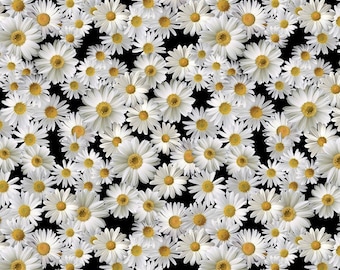 Blooming Daisies Cotton Fabric – Quilting & Apparel