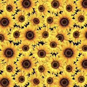 Yellow Sunflowers Fabric - Fall is in the Air  by Timeless Treasures- 100% COTTON Fabric, Quality Quilting Fabric with Gold Metallic Accents