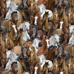Wild Horses Cotton Quilting Fabric: Chong-A Hwang Equestrian Print