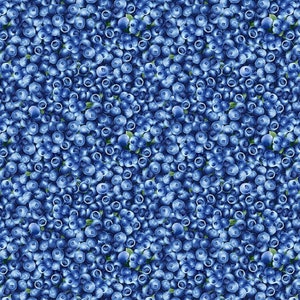 Blueberries Cotton Fabric - Quilting & Apparel, Timeless Treasures