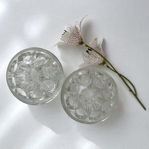 Vintage Blumen 9 Loch Halter | Frankreich Klarglasblüten Frosch