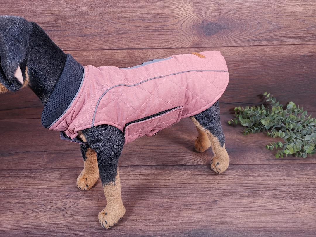 Dog Coat Pink With Name Dog Coat Personalized Dog Coat for Etsy
