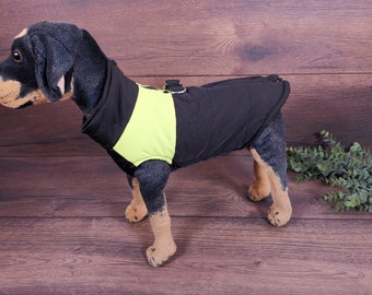 Dog coat with abdominal protection, dog coat large dogs and small dogs, dog coat dachshund, dog coat with name, dog coat in case of rain