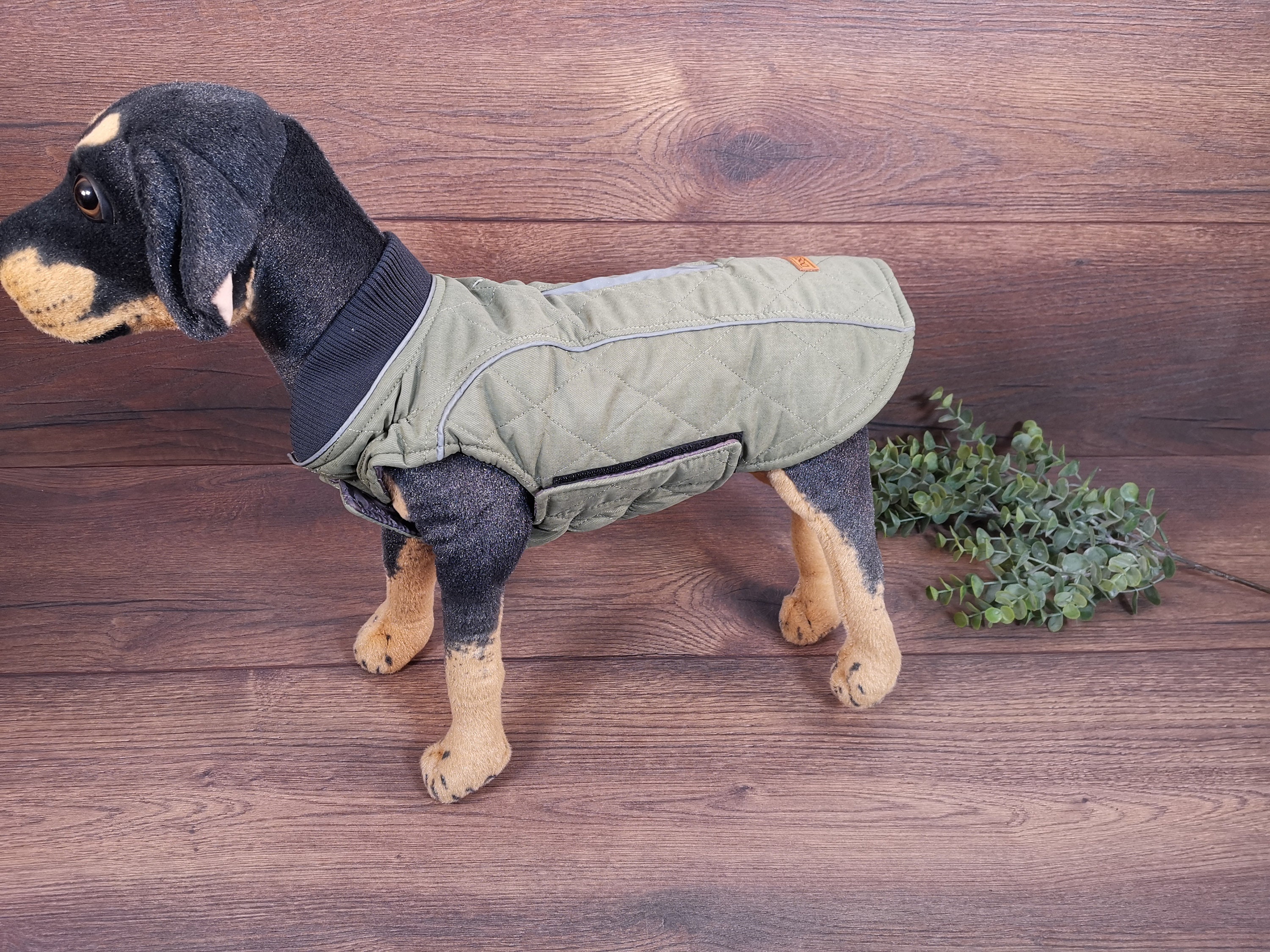 Hundemantel mit bauchschutz - Etsy.de