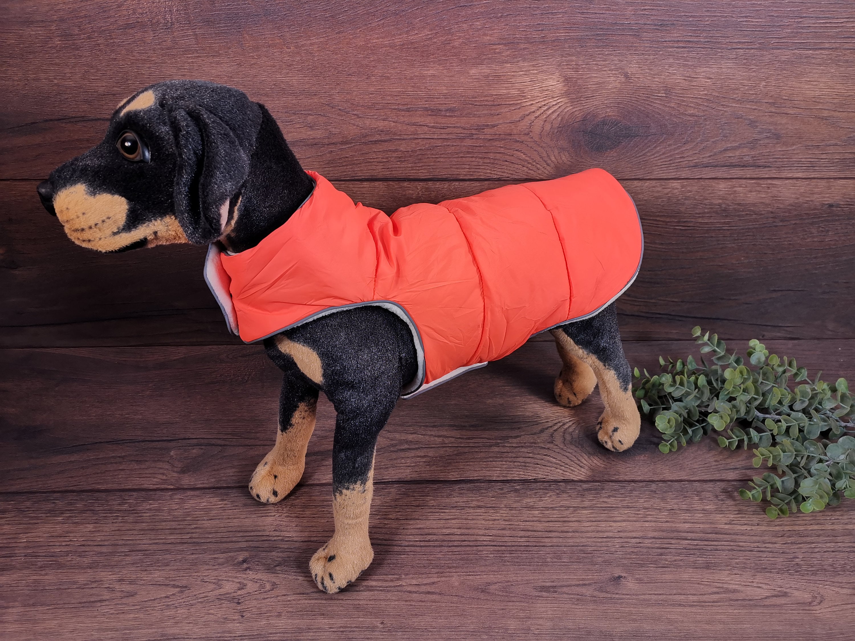orange dog fleece