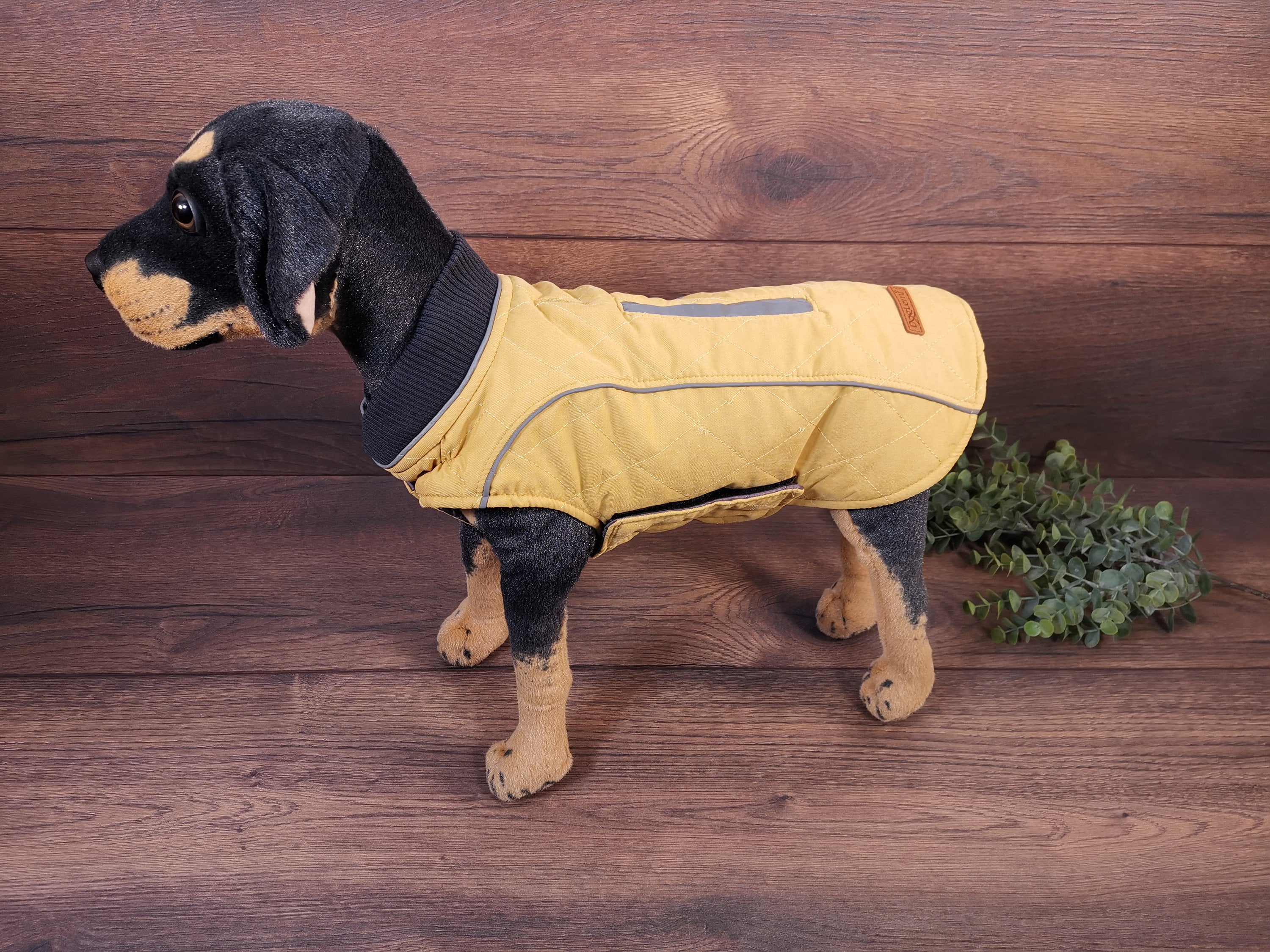 Hundemantel mit bauchschutz - Etsy.de
