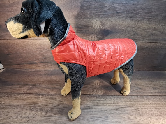 wie gut ist rinti trockenfutter RINTI Sensible Rind + Reis – Allergenarmes Hundefutter main image 1