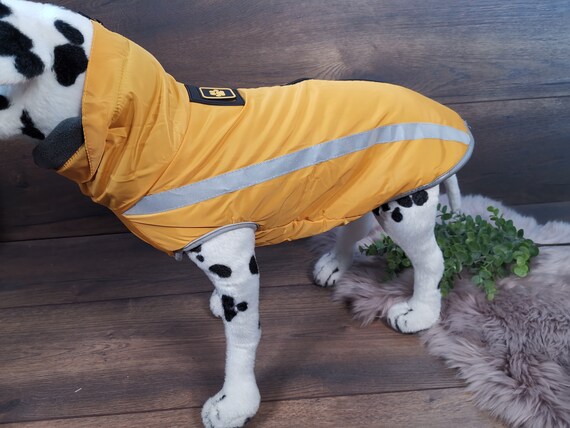 Wasserabweisender Hundemantel mit Fleece und Reiverschluss in Gelb - Ideal  fr Hunde mit langem Rcken und mit Bauchschutz - Etsy.de
