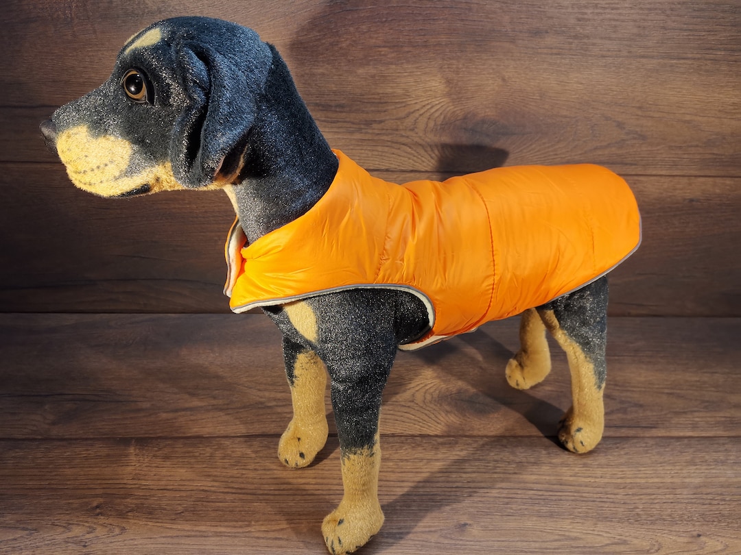 Dog Coat in Orange With Fleece Dog Coat With Name Dog Coat Etsy