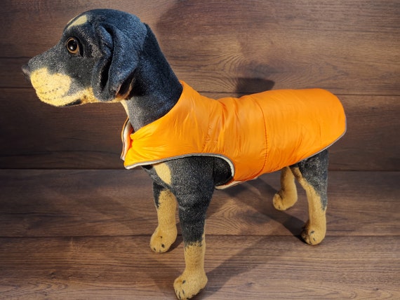 orange dog fleece