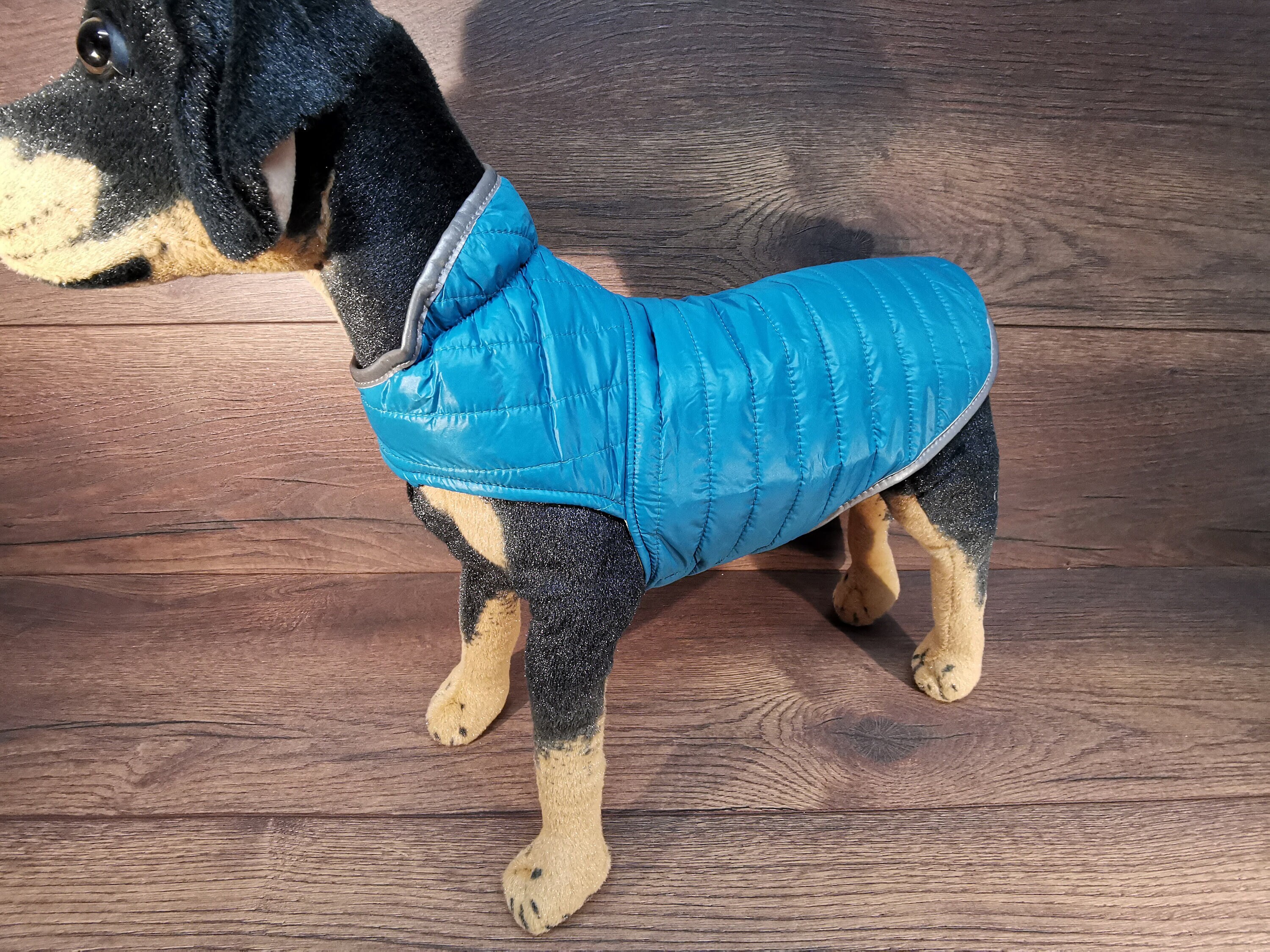 leishmaniose hundefutter Trockenfutter Hund Huhn & Kartoffel