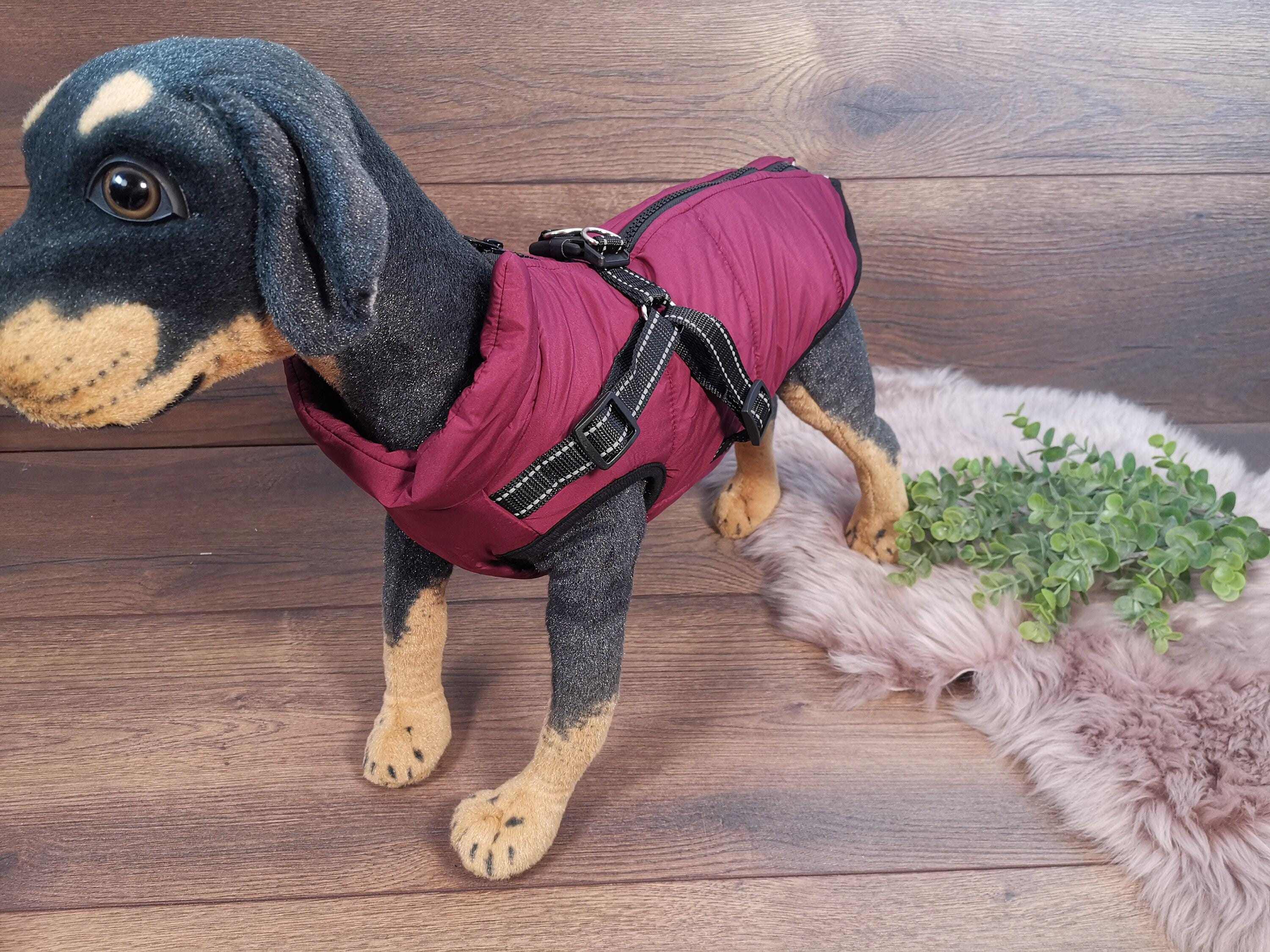 Hundemantel mit bauchschutz - Etsy.de
