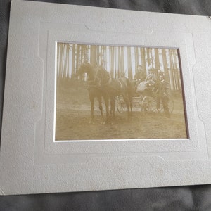 Eine Sonntagsfahrt mit Pferdekartiage, ca. 1910, original Photographie, deutsche antike Fotokarte