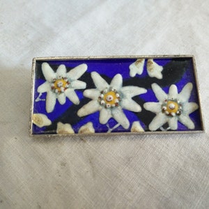 Hand made 935 silver Edelweiss brooch, enamell brooch, mid century alpine Flower brooch, Bavaria, austria, silver brooch, flowerpower