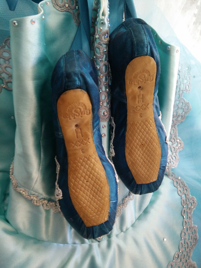 blue pointe shoes