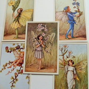 5 cartões postais de fadas das flores com reprodução da arte botânica de Cicely Mary Barker da década de 1930 7 conjuntos