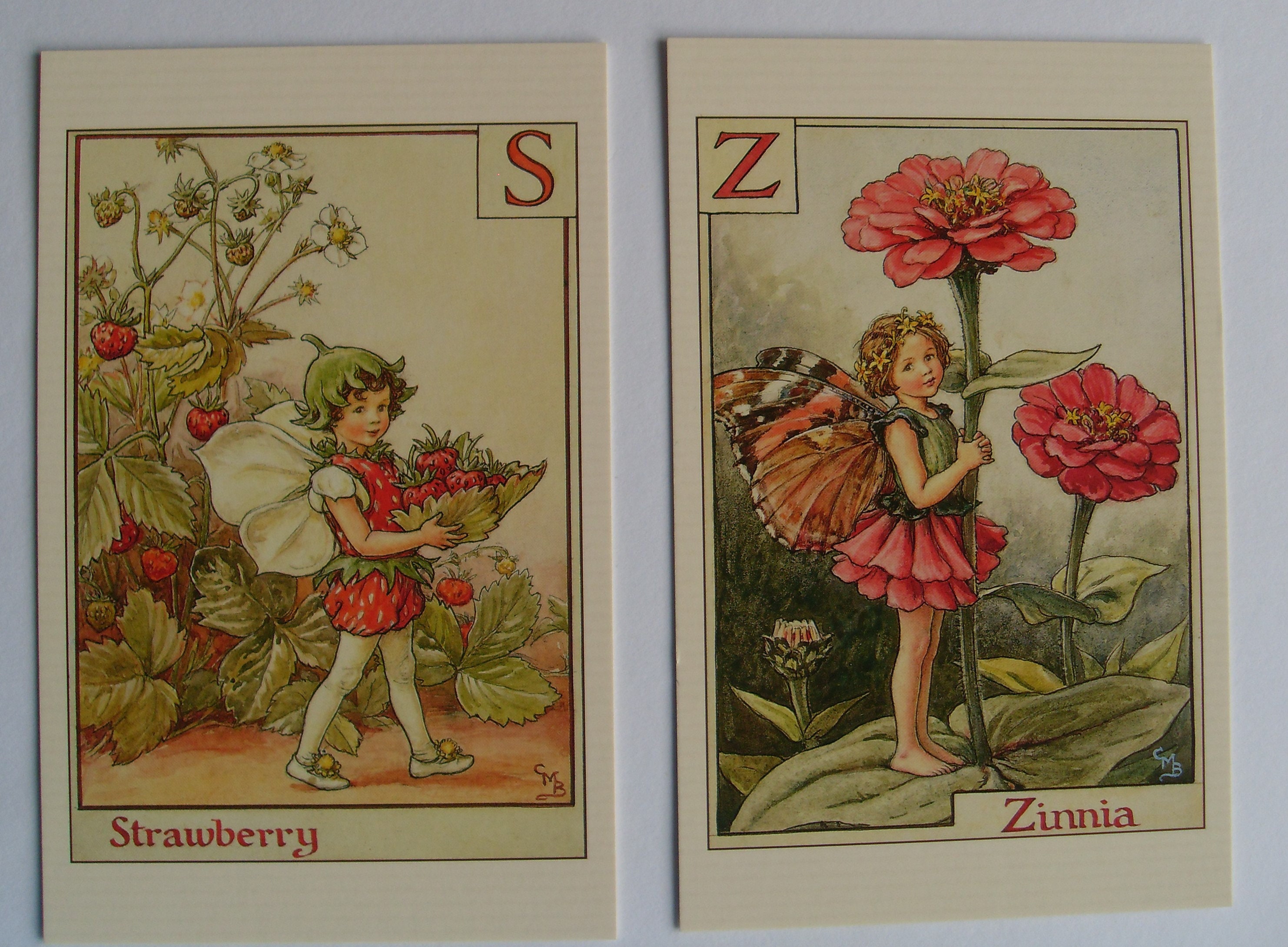 【希少品】PAURA PRYKE’S FLOWER SCHOOL Paula Pryke — Paula Pryke Flower School