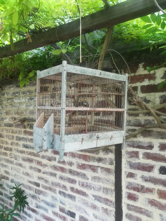 Cage à Oiseaux Vintage Des Années 1930 Ancienne Cage à Oiseaux Vintage 1930s Birdcage Old Birdcage Art Déco