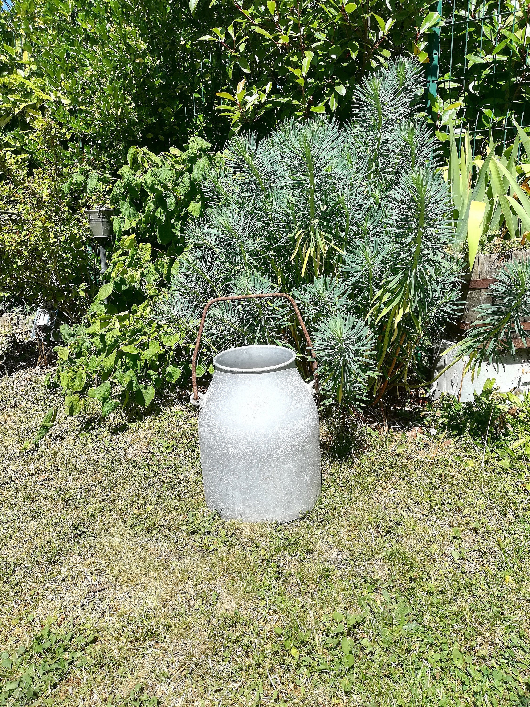 Seau à Lait en Aluminium, Gros Pot Lait, Grand Seau Alu, Cruche Récipient Bidon 1930S