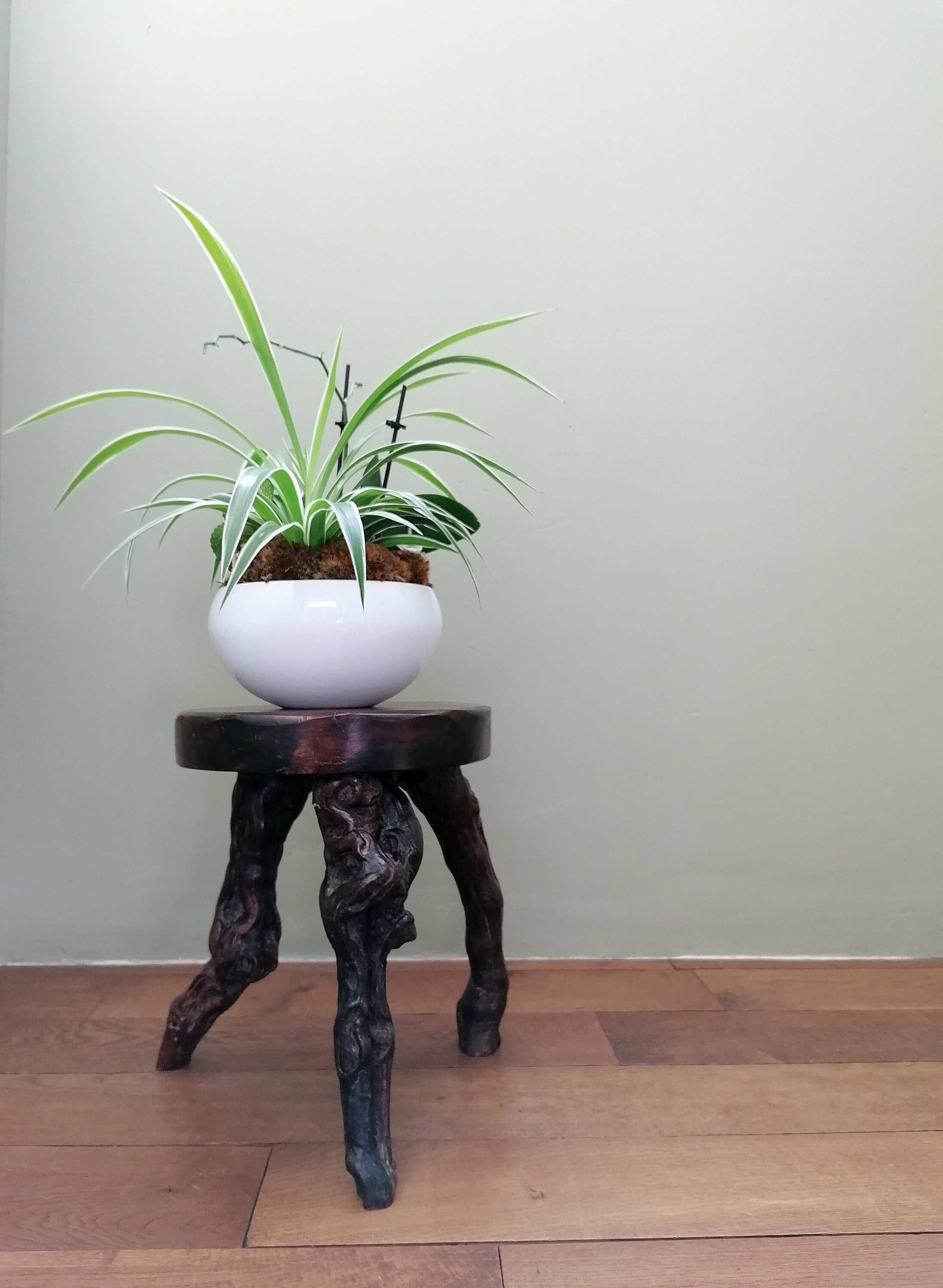 Tabouret Tripode Cep de Vigne, Tabouret Brutaliste, Bois, Ferme Tripode, Sellette Tripod Farm Stool,