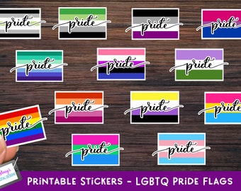 Printable Stickers  - Print and cut stickers for Cricut - LGBTQ Pride Flag Sticker Bundle - PNG format