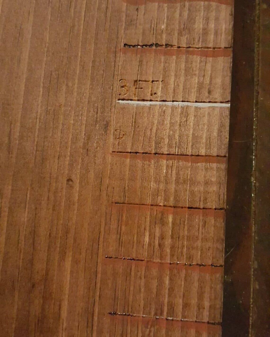 Artesanía Alabama tema de fútbol gráfico de crecimiento | Etsy