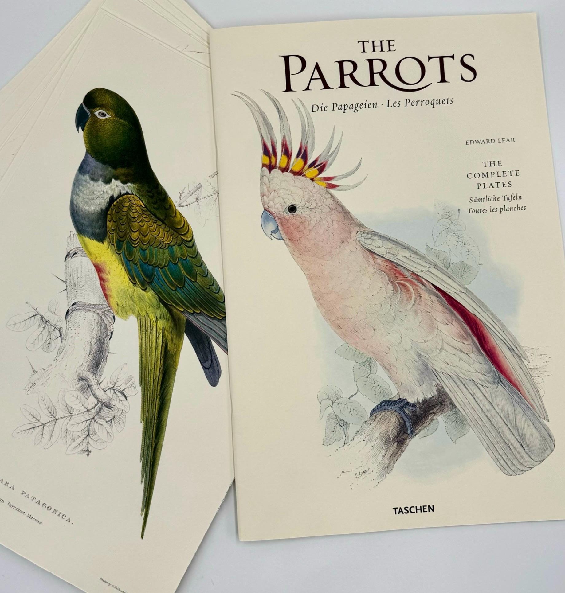 希少 The Parrots Die Papageien 鳥 コレクター 画集 The Parrots, Die Papageien - Les Perroquets: The Complete Plates