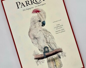 Wild Parrots of Telegraph Hill Signed 2004 Book - Etsy