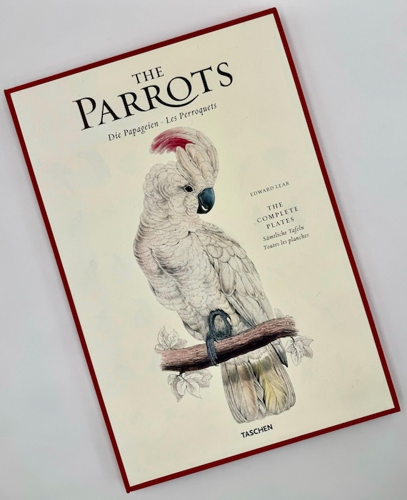 Vintage Edward Lear “the Parrots” Collectible Plates | Forty-two