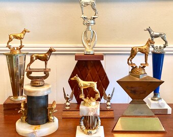 Vintage Trophies | Trophy with Dog Topper | Dog Trophy | Dog Statue | Bookshelf Table Cabinet Case Display | Glamorous Dog Decor