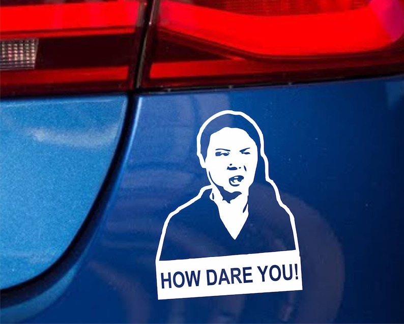 How dare you Greta Thunberg meme funny car sticker decal | Etsy