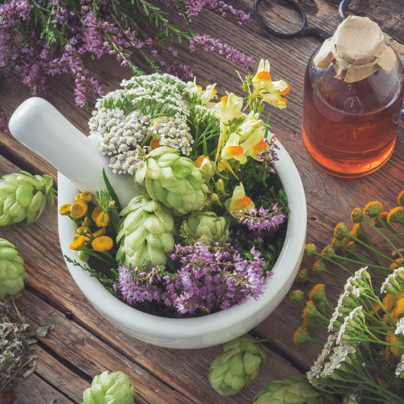 The LARGEST Herb List Ever Herbal Magick Herbalism Etsy