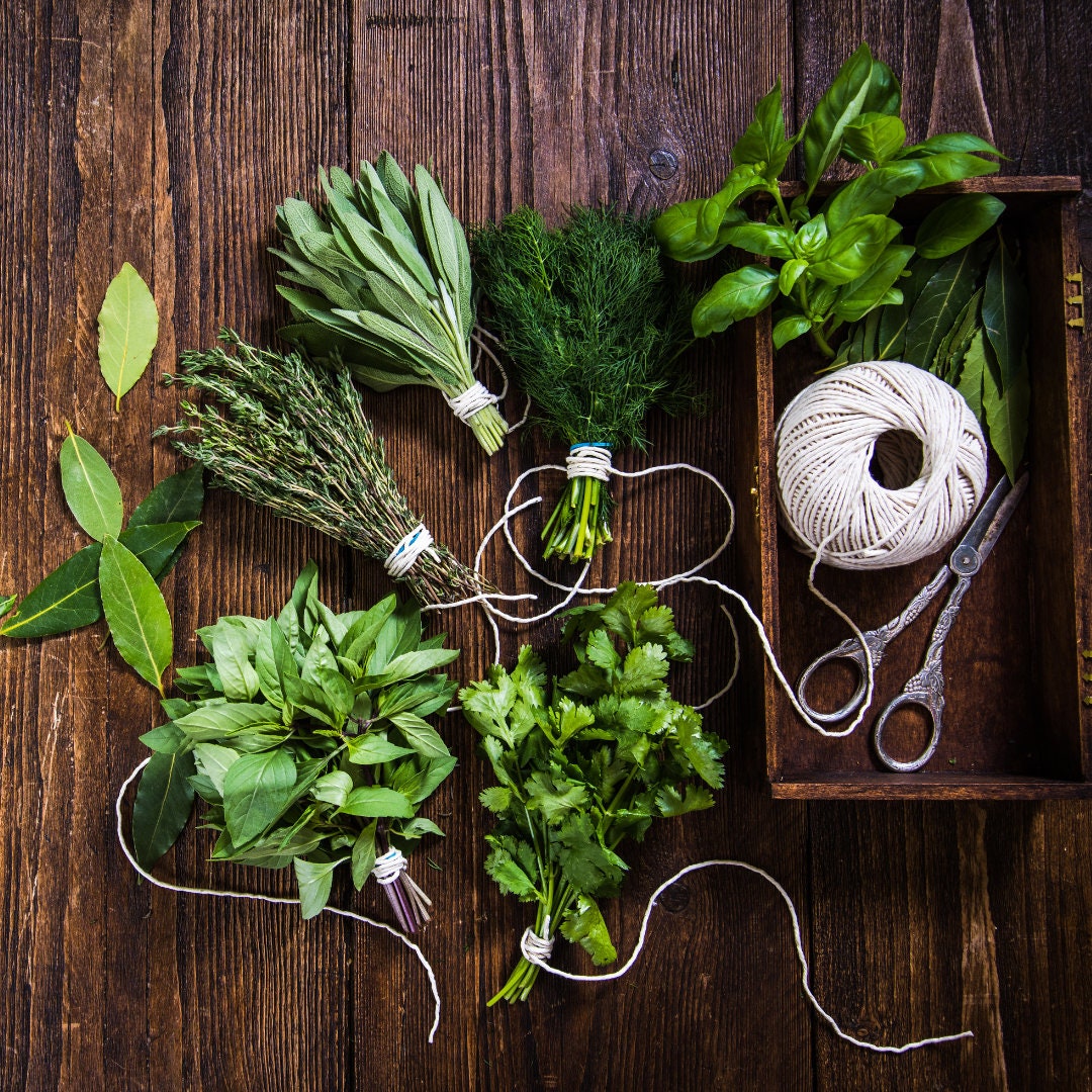 The LARGEST Herb List Ever Herbal Magick Herbalism Etsy