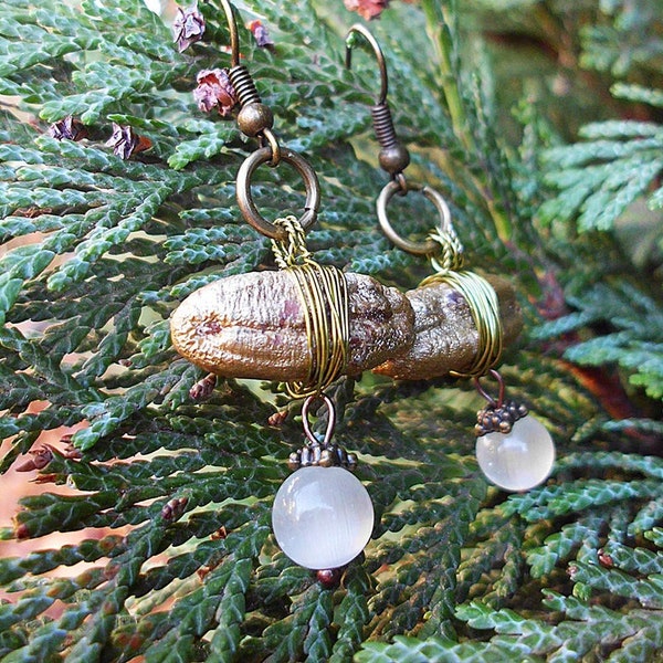 Earrings "Golden Dates Seeds ". Christmas Design. Organic. Eco Earrings. Dates seeds. Christmas Jewelry. Eco-friendly. Katzenauge Perlen