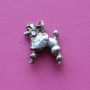 Puede incluir: Un pequeño dije de caniche plateado con una superficie texturizada. El dije presenta el característico estilo de pelaje recortado del caniche, con formas redondeadas para las patas y el cuerpo. Tiene un pequeño lazo en la parte superior.