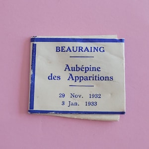 Katholischer Reliquienschrein der Heiligen Jungfrau Maria Notre Dame von Beauraing mit einem Stück Weißdornholz im Inneren.
