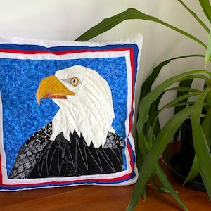 Può includere: Un cuscino bianco con un bordo rosso, bianco e blu. Il cuscino presenta un'immagine ravvicinata di un'aquila calva su uno sfondo blu.