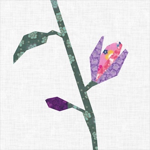 Peut inclure: Un bouton de fleur violet, rose et jaune avec des feuilles vertes et une tige sur un fond blanc.