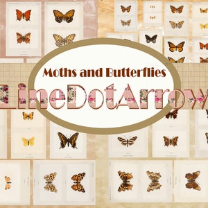 Moths and Butterflies journal cards