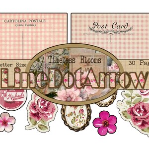 May include: A collection of vintage floral designs and postcards. The design includes pink roses, decorative frames, and the text "Timeless Blooms" and "LineDotArrow". The postcards have a pink gingham pattern.