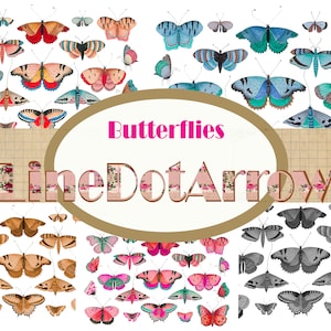 Könnte beinhalten: Eine digitale Collage aus bunten Schmetterlingen mit dem Titel "Butterflies LineDotArrow".