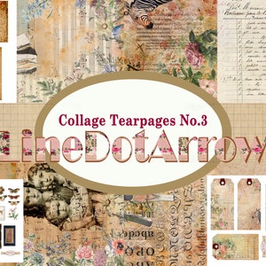 Puede incluir: Collage de texturas de papel vintage con patrones florales, notas musicales y texto escrito a mano. El título "Collage Tearpages No. 3 LineDotArrow" se muestra en un diseño floral rosa y blanco.
