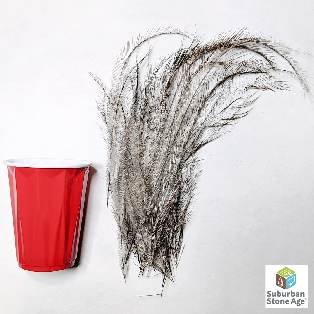 RARE Emu Tail Feathers Ethically Sourced, Cruelty Free GUARANTEED Etsy