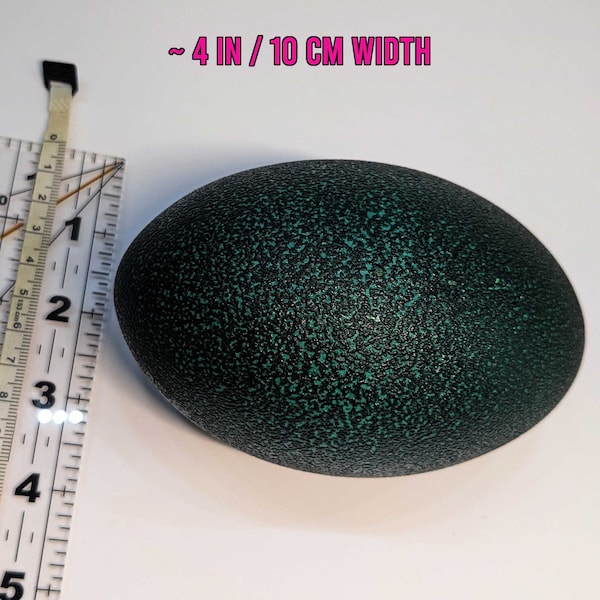 RARE GIGANTIC Easter EGG - Emu Egg Shell - Cruelty Free, Ethically Sustainably sourced guaranteed!