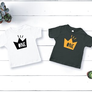 One Year Old Birthday Shirt, 1st Birthday Shirt, First Birthday Shirt, Mr Onederful Shirt, First Birthday Outfit, Wild One Birthday Shirt