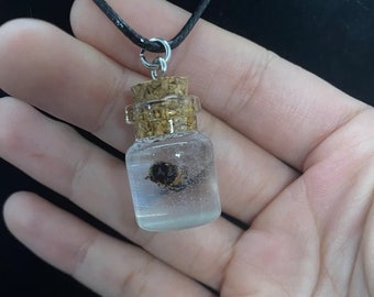 Honey Bee Vial Necklace
