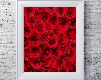 Flower photography, roses, rose, red, red roses, flower print, downloadable art, printable, home decor, office decor, gifts